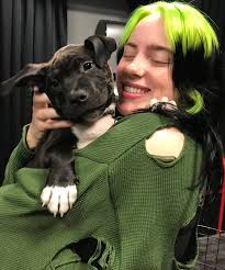 Billie Eilish Gets A Sweet Visit From Shelter Puppies Before Kicking Off Her Tour In Miami Billie Eilish Billie Singer