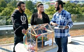 Image result for Grona afra