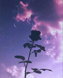 Free shipping on orders over $25 shipped by amazon. Flower Awesome Awesome Flower Wallpapers Yeni Baslayanlar Resim Macera Zamani Sanat Soyut Fotografcilik