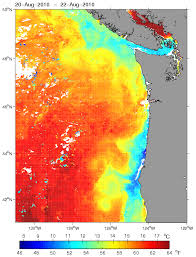 cliff mass weather and climate blog warm water in the cool