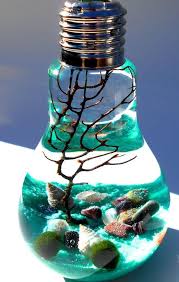 Items Similar To Marimo Terrarium Lightbulb Terrarium Aqua Terrarium Zen Garden Living Home Decor Spring Decor We Light Bulb Crafts Light Bulb Art Crafts
