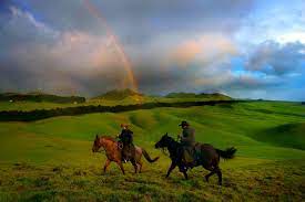 Waimea Cowboys My Fave Place Horse World Horses Big Island