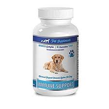 Dog Immune System Supplements Dog Immune Defense Supplement Dogs Immune Support Milk Thistle Milk Thistle Cap In 2020 Immune Support Immune Defense Immune System
