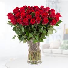 You were redirected here from the unofficial page: 40 Rote Rosen 40cm Blumenshop De