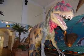 Get the ratings & reviews, maps of nearby attractions & contact details. Haus Der Natur In Salzburg