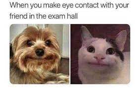 32 Fresh Animal Memes That Are Nothing But Funny Funquila Animal Memes Clean Animal Memes Funny Animals This includes videos of child and animal abuse.