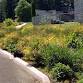 Vegetated Stormwater Facilities 2026 event image