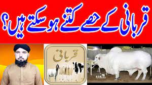Murgi ho ya phir ke murga bakra ho ya phir ke mendha, gaay. Qurbani Ke Janwar Me Kitne Hisse Shurakaa Mo By Sunnisalafianswers