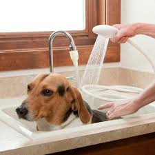 Bathtub portable sprayer 1 gallon. Portable Shower Head Bathtub Spray With Hose Handheld Shower Head Hose Bath Water Spray Hand Held Bathroom Pet Tub Sprayer Bathtub Bathtub Stoolbathtub Handle Aliexpress