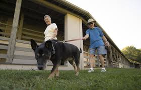 Pets Welcome Peaks Of Otter Lodge Blue Ridge Parkway Va Pet Friendly Rooms Blue Ridge Parkway Blue Ridge Lakeside Lodge