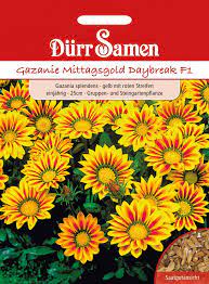 Novasemena.cz gazánie gazania splendens gazánie je nízká letnička vhodná do skalek i truhlíku. Gazanie Mittagsgold Daybreak F1 Gazaniensamen Von Durr Samen Samenhaus Samen Samereien