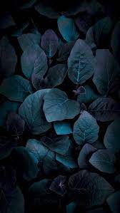 Maybe you would like to learn more about one of these? Solid Black Colour Wallpaper Hd