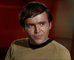 shellac as temporary finish