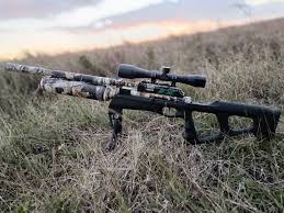 Cazadores de Pinar del rio