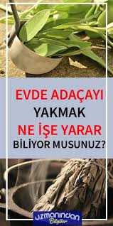 Adacayi Yakmak Ne Ise Yarar Good To Know Health Reflexology