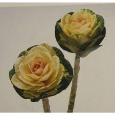Maybe you would like to learn more about one of these? Sunrise Flowering Kale