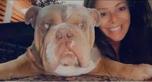 Duke just being curious, that face tho! ❤️