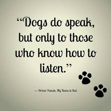 Yes They Do I Have 3 Little Fur Babies That Talk To Me All The Time Any Animal Owner Lover Of Animals Know This Kell Dog Quotes I Love Dogs