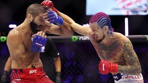 Trend Google: aiemann zahabi