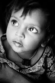 Photo — Lisa Field