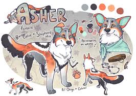 Asher By Colonel Strawberry On Deviantart Dog Design Art Canine Art Cute Drawings