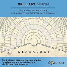 Treeseek Genealogy Fan Wall Chart Large Blank Fillable Pedigree Form For Family History And Ancestry