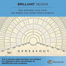 treeseek genealogy fan wall chart large blank fillable pedigree form for family history and ancestry