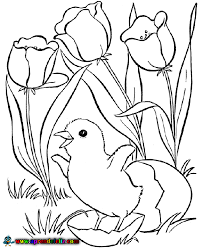 Ver más ideas sobre decoraciones escolares, dibujos primavera, decoración de unas. Aprende A Colorear Con Este Bonito Dibujo De Un Pollito Saliendo Del Cascaron Rodeado De Flores En Primavera Aprende Feliz
