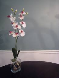 Benjamin Moore Paint Review Is It Worth The Price