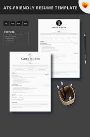developer ats friendly resume template