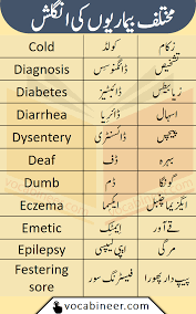 Diseases Names In English With Urdu Meanings In 2021 Good Vocabulary English Words English Vocabulary Words