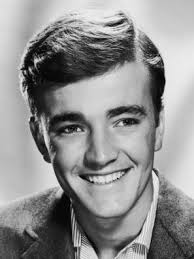 Robert Hudson Walker Jr. (April 15, 1940