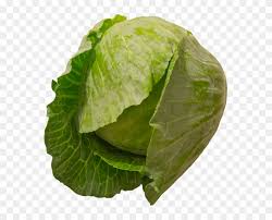 Explore {{searchview.params.phrase}} by color family Cabbage Collard Greens Clipart 153576 Pikpng