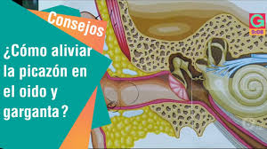 Como Aliviar La Picazon En El Oido Y Garganta Consejos Para Usted Youtube