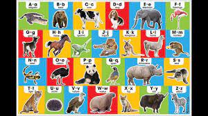Community contributor can you beat your friends at this quiz? A To Z Alphabet Animals Name Youtube