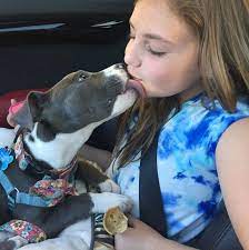 This Is What Really Happens When Your Dog Licks Your Face Barkpost