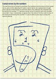 Cranial Nerve Examination Osteopathicthoughts