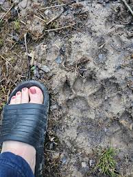 Kentucky Wildlife and Nature