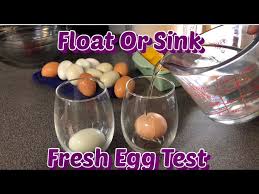 Bad Or Good Sink Float Egg Test