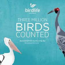 Sinopsis on the count of 3. Birdlife Australia On Twitter Three Million Birds Counted In The 2019 Aussie Backyard Bird Count We Reached 3 Million On The Final Day Of The Count And We Still Have Today And