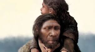 ALL species have variations in morphology and anatomy, even Humans. The  so-called "Neanderthals" are nothing more than Humans with a slightly  different morphology. What is even more ridiculous than the idea of