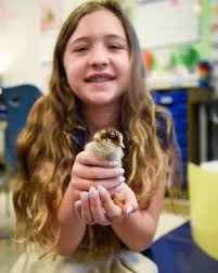 Senior Spotlight ⭐️ Congratulations, Levon Jacobs! #davidsonday #gopatriots  #classof2025 #universityofcharlestonwv