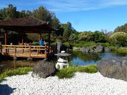 Roaming Roy Goes Gardening Edogawa Gosford Japanese Garden The Tingle Factor Box