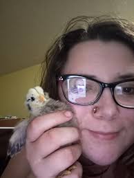 Introducing Nugget (left) and Sundae (right)