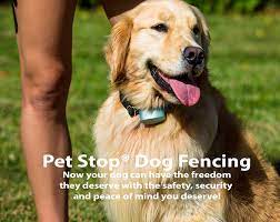 Pet stop dealer near me. Invisible Dog Fencing In Indiana Play Safe Pet Fencing