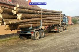 Image result for camioane cu lemne poze