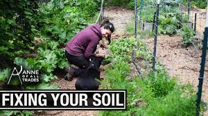 Flower garden container gardening gardening tips garden tools urban garden flower landscape landscaping plants organic gardening growing flowers. How To Fix Your Soil Youtube