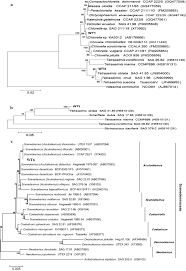 There are several ways to deploy an mdm enrollment profile. Evaluation Of Native Microalgae From Tunisia Using The Pulse Amplitude Modulation Measurement Of Chlorophyll Fluorescence And A Performance Study In Semi Continuous Mode For Biofuel Production Biotechnology For Biofuels Full Text