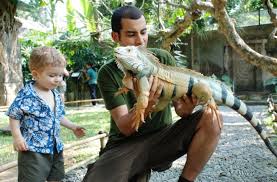 Jurong bird park travelers' reviews, business asia's largest bird parks. Bali Reptile Park Bali Reptile Park Komodo Dragon