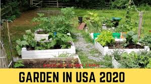 Tips to setup perfect kitchen garden in your home | poovali | news7 tamilsubscribe : Tamil Garden Usa Garden Tour Tamil Indian Gardener In Usa Roochis Town Tamil Youtube